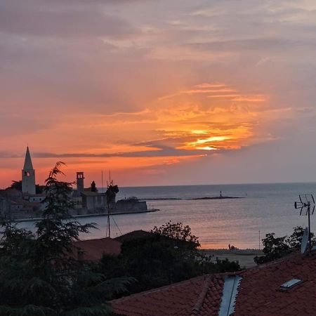 Studio D Porec Luaran gambar