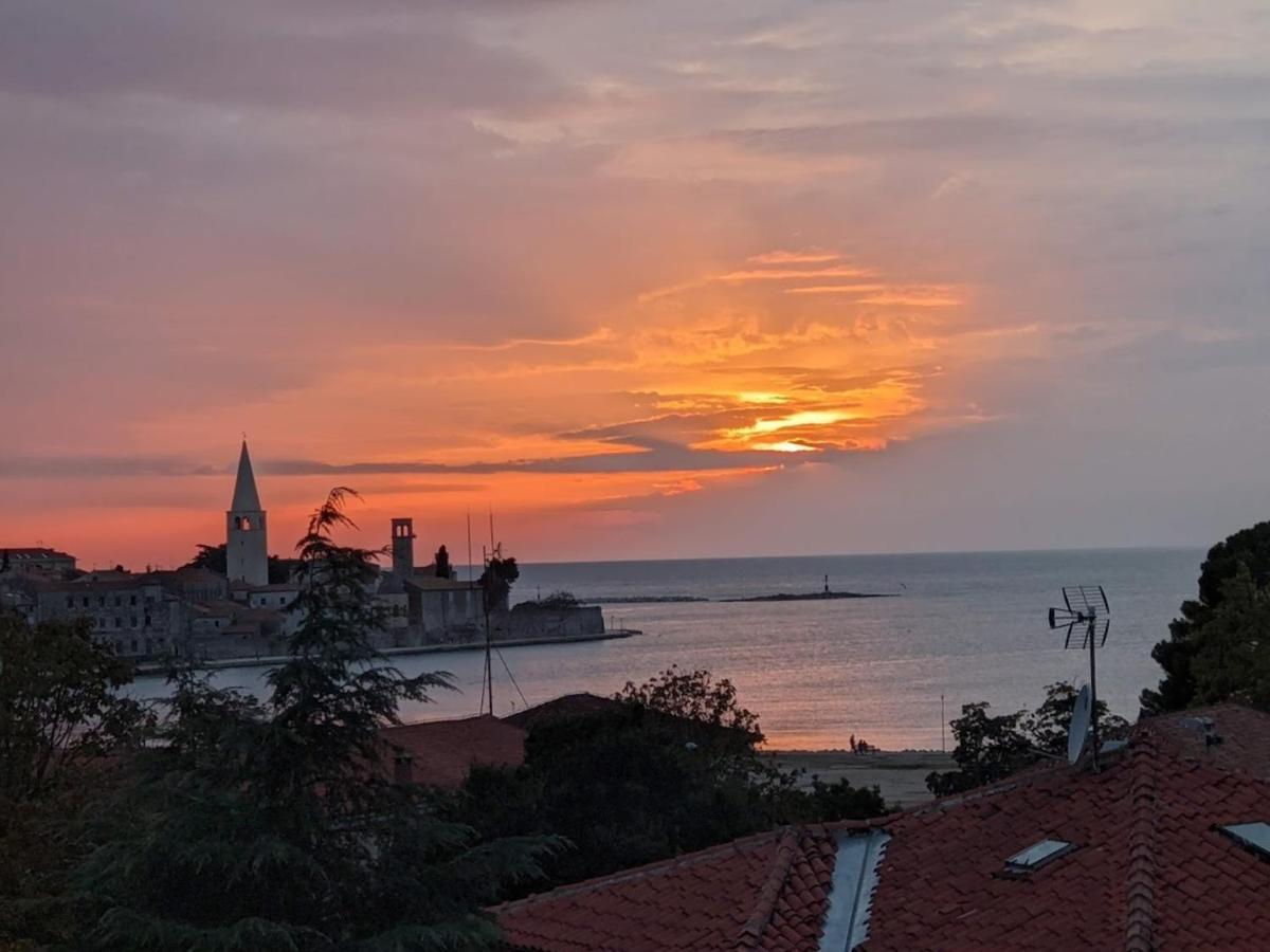 Studio D Porec Luaran gambar